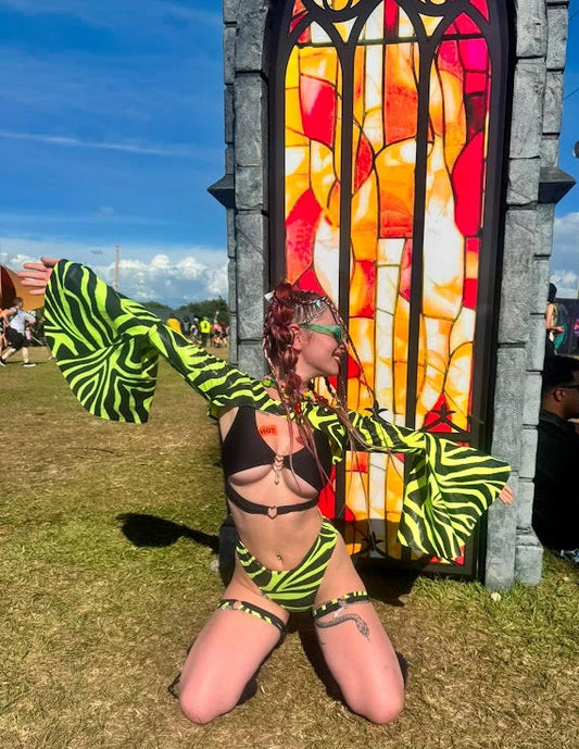 Neon Zebra Gemini Set